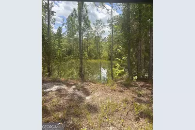 9757 Highway 185, Saint George, GA 31562 - Photo 18