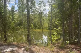 9757 Hwy 185, Saint George, GA 31562 - Photo 18