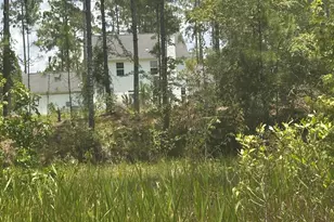 9757 Hwy 185, Saint George, GA 31562 - Photo 16