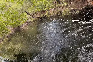 9757 Hwy 185, Saint George, GA 31562 - Photo 14