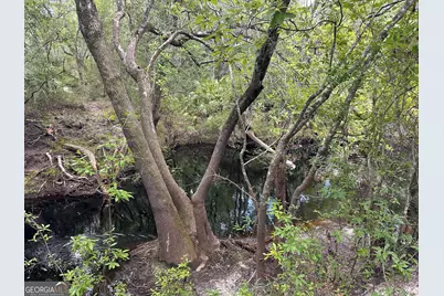 9757 Highway 185, Saint George, GA 31562 - Photo 12