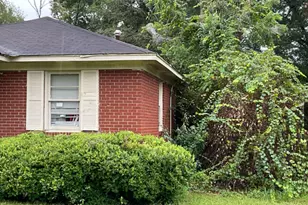 306 Tremont Ave, Albany, GA 31701 - Photo 4
