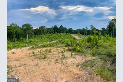 0 Roy Dean Road, Buchanan, GA 30113 - Photo 14