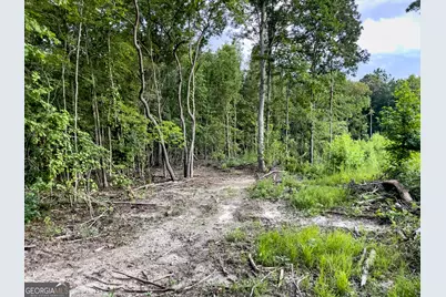 0 Roy Dean Road, Buchanan, GA 30113 - Photo 24