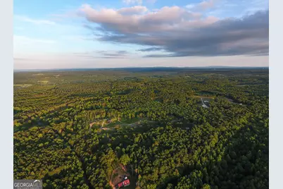 0 Roy Dean Road, Buchanan, GA 30113 - Photo 8