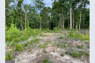 0 Roy Dean Road, Buchanan, GA 30113 - Photo 16