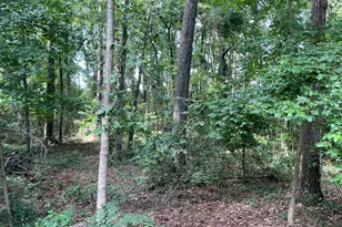 315 Paige Way, Winder, GA 30680 - Photo 48