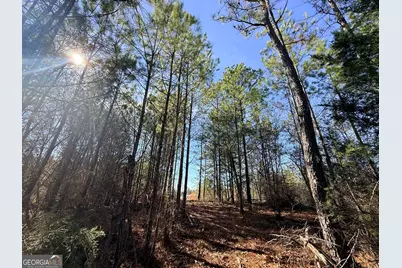 11 Emmaus Drive, Elberton, GA 30635 - Photo 4