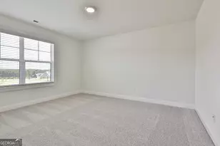 438 Fox Hall Crossing W, Senoia, GA 30276 - Photo 44