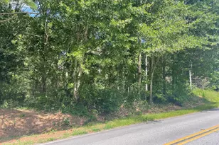 0 Asa Mosley Rd, McDonough, GA 30252 - Photo 1