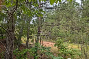 7900 Downs Rd, Winston, GA 30187 - Photo 2