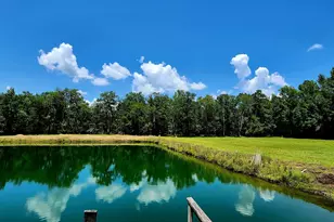 189 Little Horsepen Rd, Guyton, GA 31312 - Photo 36