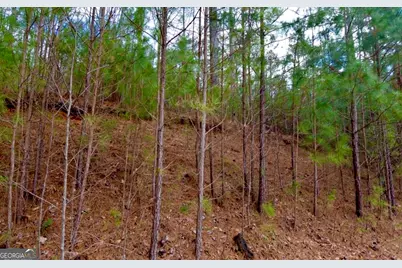 64 Meadow Brooke Drive, Young Harris, GA 30582 - Photo 14