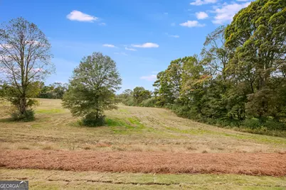 3356 Veal Street, Roopville, GA 30170 - Photo 38