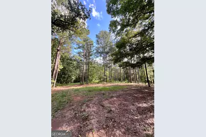 621 Rance Foster Road, Bowdon, GA 30108 - Photo 34
