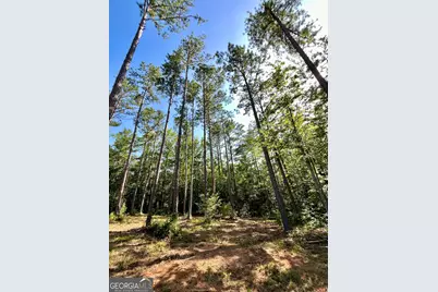 621 Rance Foster Road, Bowdon, GA 30108 - Photo 22