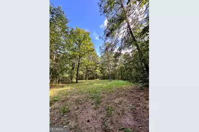 621 Rance Foster Road, Bowdon, GA 30108 - Photo 30