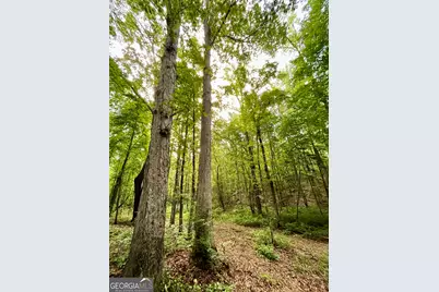 621 Rance Foster Road, Bowdon, GA 30108 - Photo 46