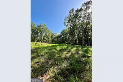 621 Rance Foster Road, Bowdon, GA 30108 - Photo 26
