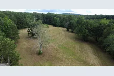 621 Rance Foster Road, Bowdon, GA 30108 - Photo 12