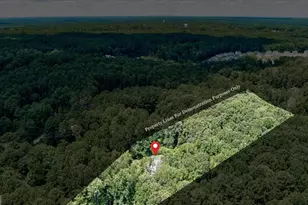 165 Lake Hampton Dr, Hampton, GA 30228 - Photo 32