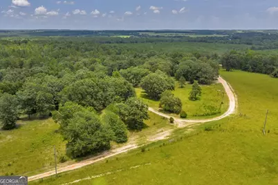 206 Southland Road, Butler, GA 31006 - Photo 62