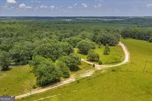 206 Southland Rd, Butler, GA 31006 - Photo 62