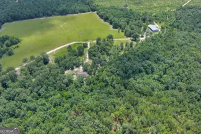 206 Southland Road, Butler, GA 31006 - Photo 58