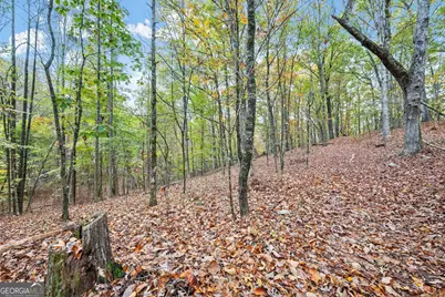 4701A Cleveland Highway #A, Gainesville, GA 30506 - Photo 22