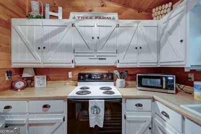 705 Hickory Drive, Mineral Bluff, GA 30559 - Photo 10