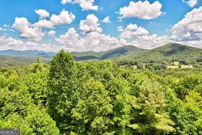 705 Hickory Drive, Mineral Bluff, GA 30559 - Photo 42