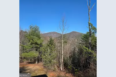 705 Hickory Drive, Mineral Bluff, GA 30559 - Photo 58