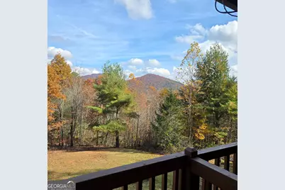 705 Hickory Drive, Mineral Bluff, GA 30559 - Photo 58