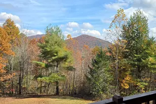 705 Hickory Dr, Mineral Bluff, GA 30559 - Photo 58