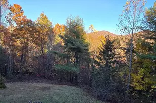 705 Hickory Dr, Mineral Bluff, GA 30559 - Photo 36