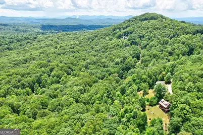 705 Hickory Drive, Mineral Bluff, GA 30559 - Photo 30