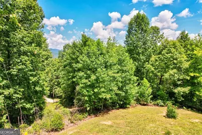 705 Hickory Drive, Mineral Bluff, GA 30559 - Photo 46