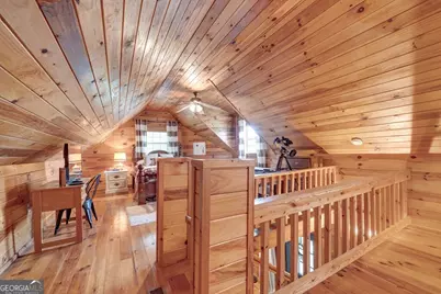 705 Hickory Drive, Mineral Bluff, GA 30559 - Photo 28