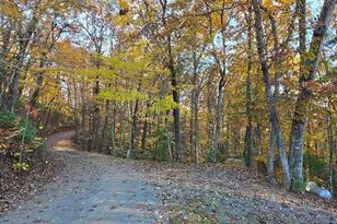 705 Hickory Dr, Mineral Bluff, GA 30559 - Photo 52