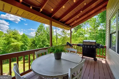 705 Hickory Drive, Mineral Bluff, GA 30559 - Photo 38