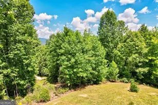 705 Hickory Dr, Mineral Bluff, GA 30559 - Photo 48