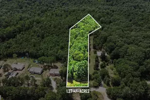 2085 Buckhorn, Clarkesville, GA 30523 - Photo 1