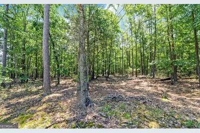 0 Lot 3 Reed Creek Point, Hartwell, GA 30643 - Photo 14