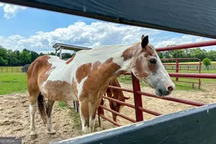 8272 Old Zebulon Rd, Molena, GA 30258 - Photo 50