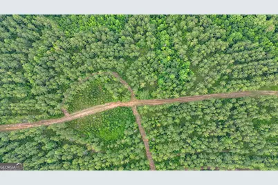 3644-3792 Fortune Hole Road, Hamilton, GA 31811 - Photo 24