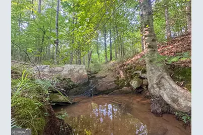 3644-3792 Fortune Hole Road, Hamilton, GA 31811 - Photo 32