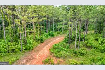 3644-3792 Fortune Hole Road, Hamilton, GA 31811 - Photo 30