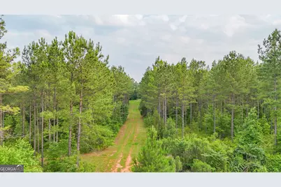 3644-3792 Fortune Hole Road, Hamilton, GA 31811 - Photo 22