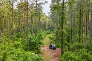 3644-3792 Fortune Hole Rd, Hamilton, GA 31811 - Photo 1