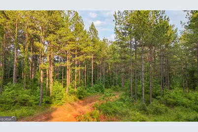 3644-3792 Fortune Hole Road, Hamilton, GA 31811 - Photo 16